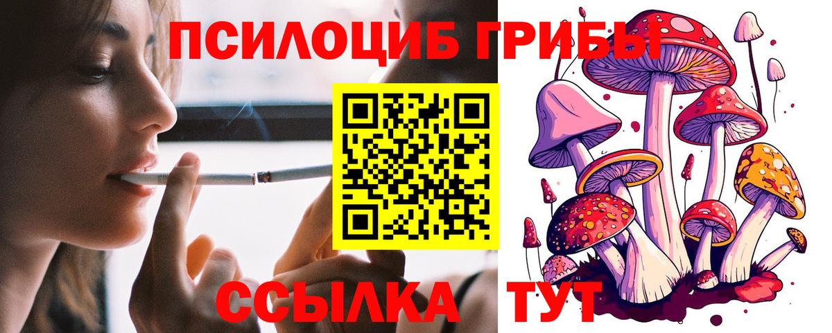 Галлюциногенные грибы GOLDEN TEACHER Заринск