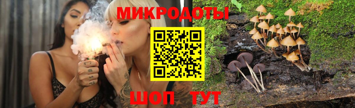 Заринск  Псилоцибиновые грибы Psilocybe  Вход с VPN 